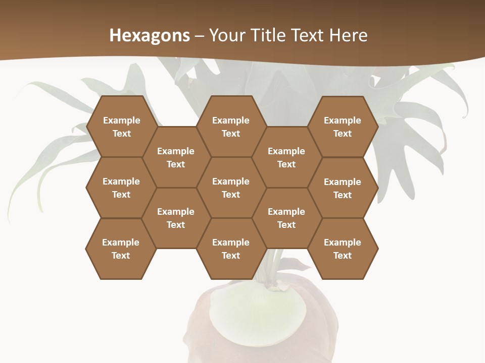 Biology Jungle Cone PowerPoint Template
