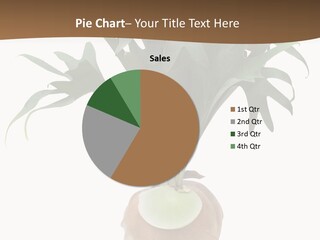 Biology Jungle Cone PowerPoint Template