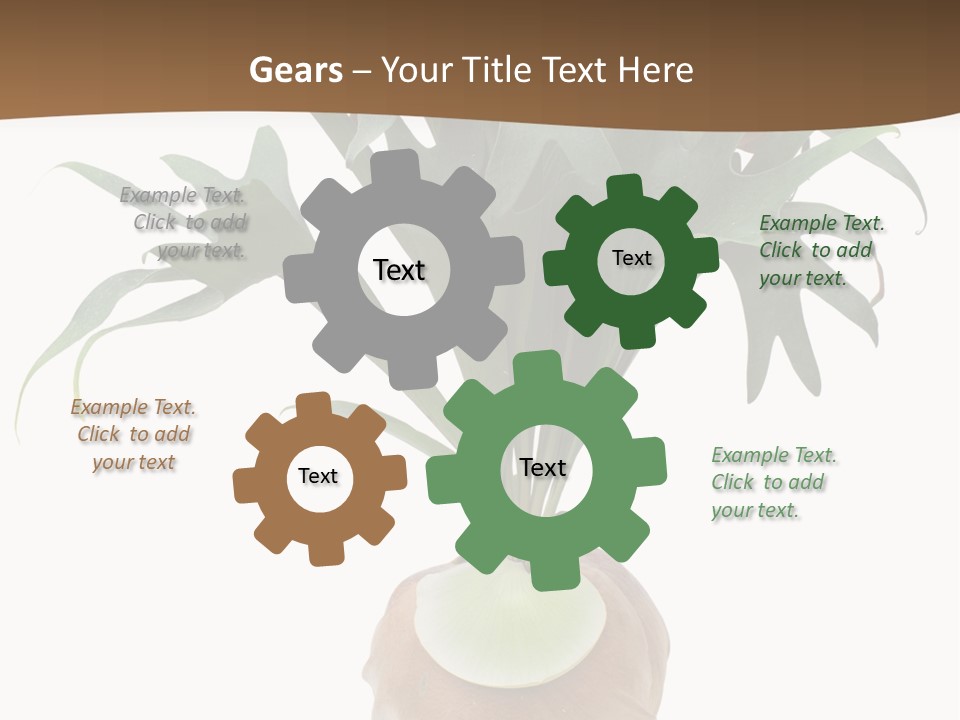 Biology Jungle Cone PowerPoint Template