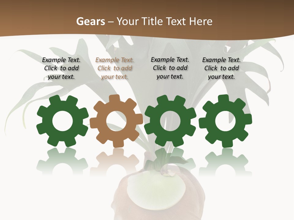 Biology Jungle Cone PowerPoint Template