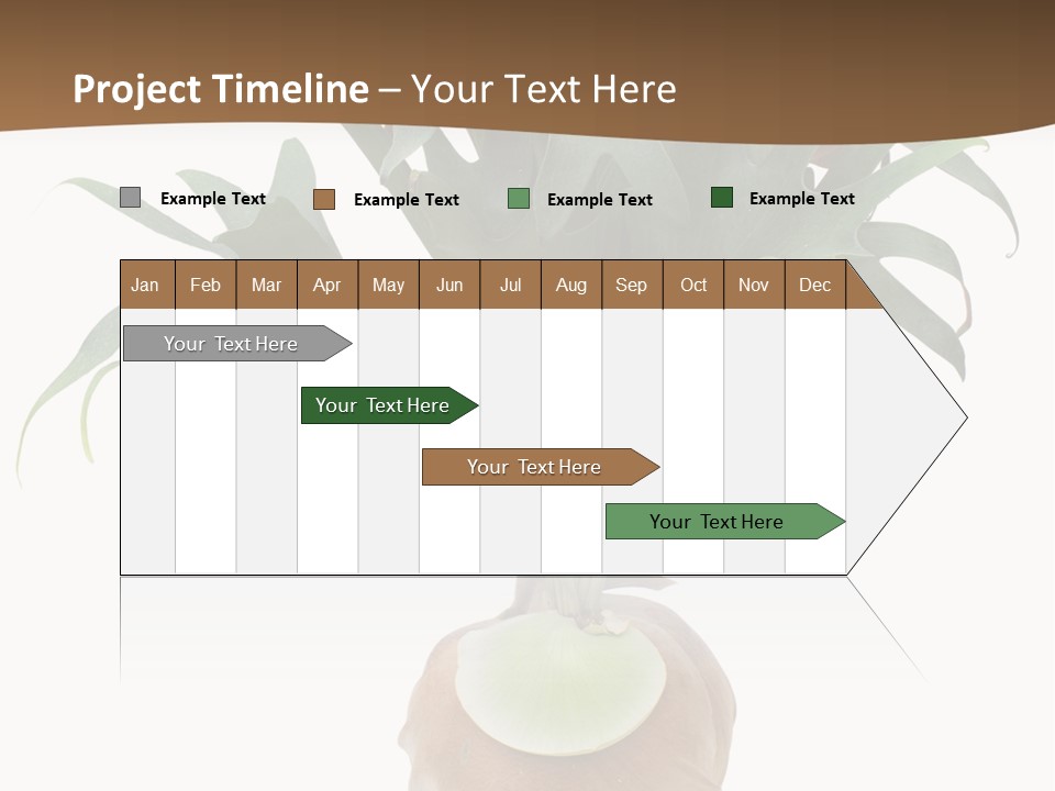 Biology Jungle Cone PowerPoint Template