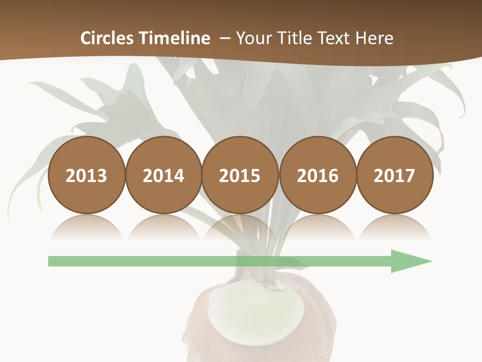 Biology Jungle Cone PowerPoint Template