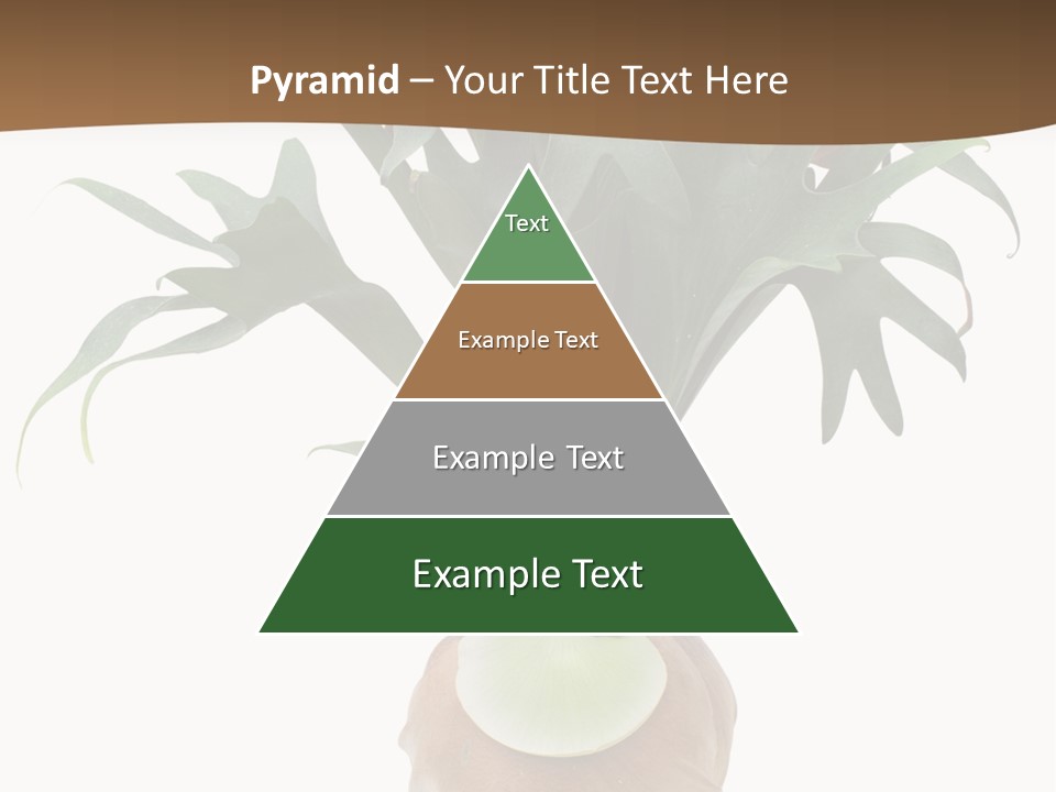 Biology Jungle Cone PowerPoint Template