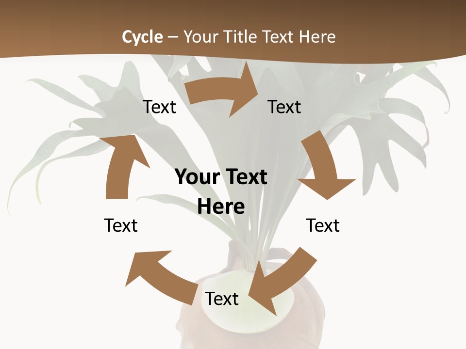 Biology Jungle Cone PowerPoint Template