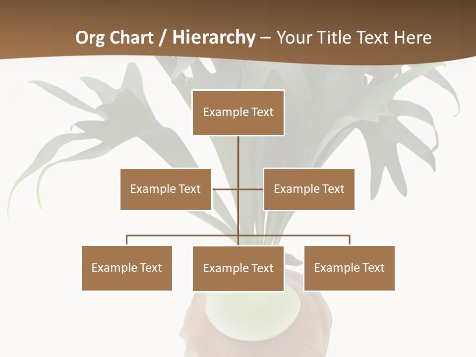 Biology Jungle Cone PowerPoint Template