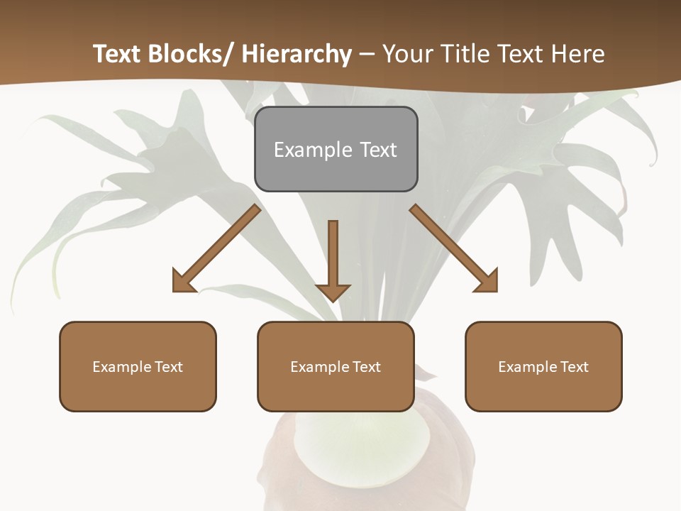 Biology Jungle Cone PowerPoint Template