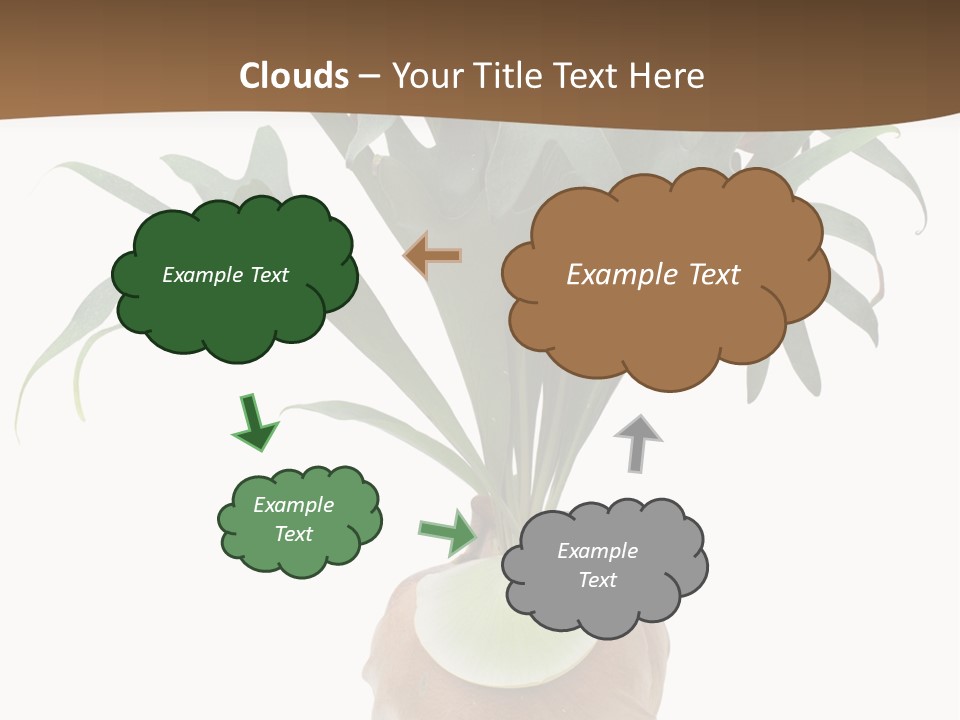 Biology Jungle Cone PowerPoint Template
