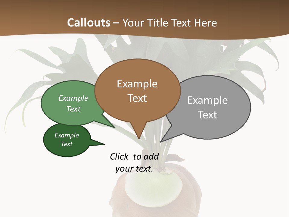 Biology Jungle Cone PowerPoint Template