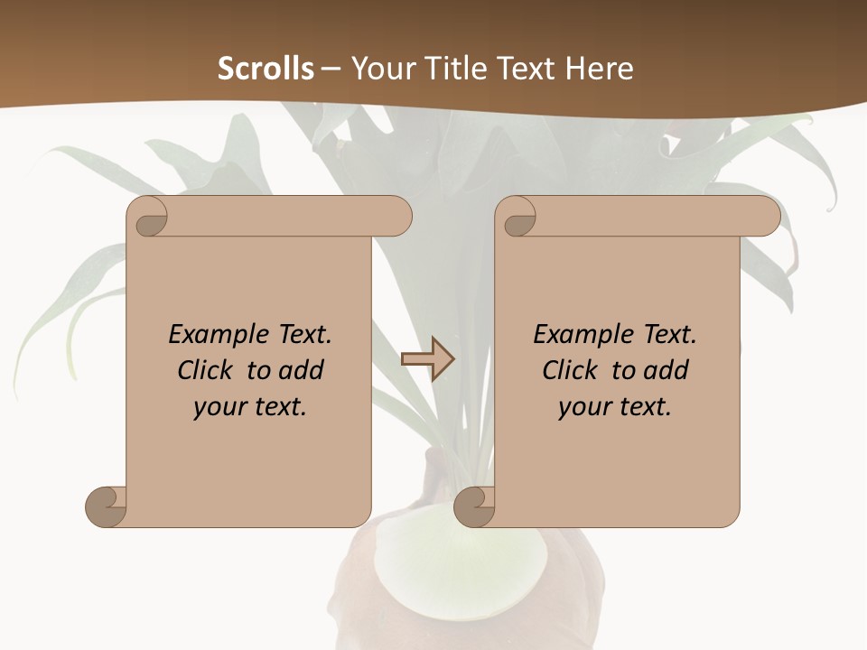 Biology Jungle Cone PowerPoint Template