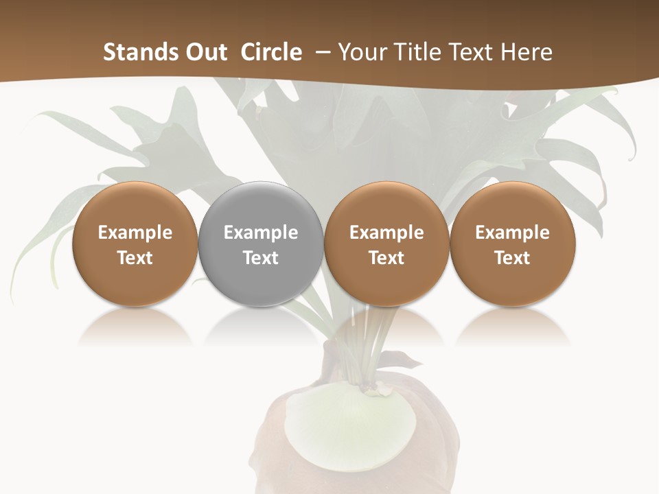 Biology Jungle Cone PowerPoint Template