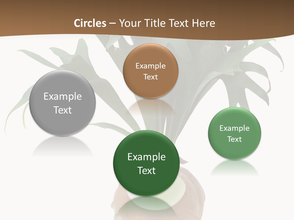 Biology Jungle Cone PowerPoint Template