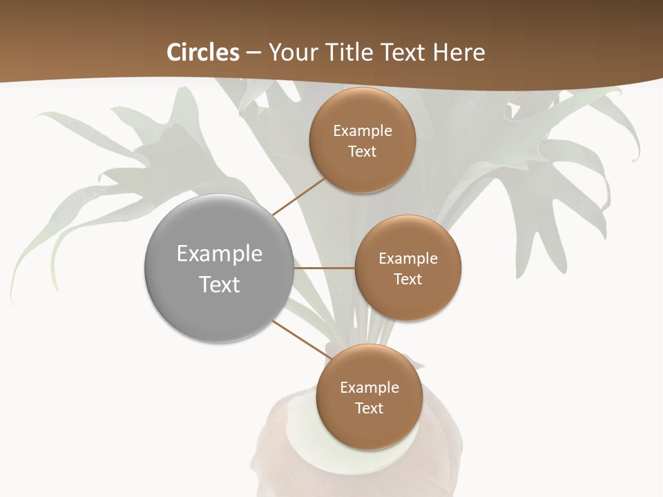 Biology Jungle Cone PowerPoint Template