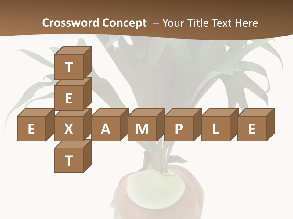 Biology Jungle Cone PowerPoint Template