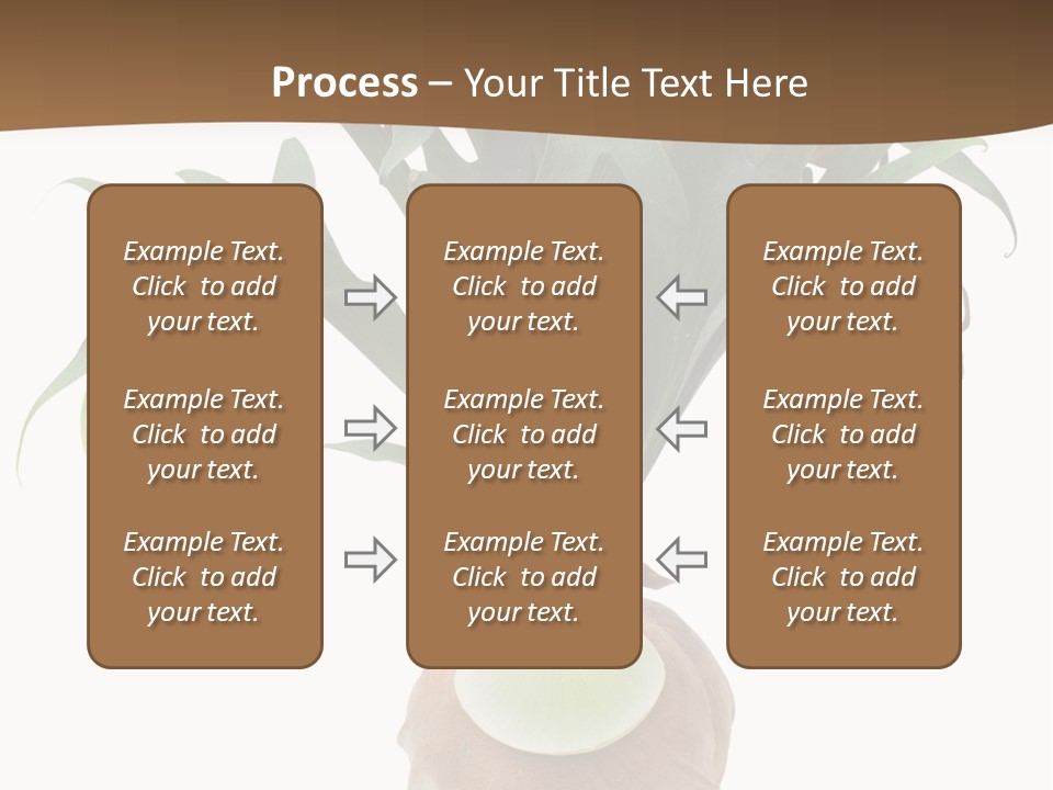 Biology Jungle Cone PowerPoint Template