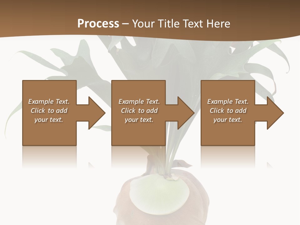 Biology Jungle Cone PowerPoint Template
