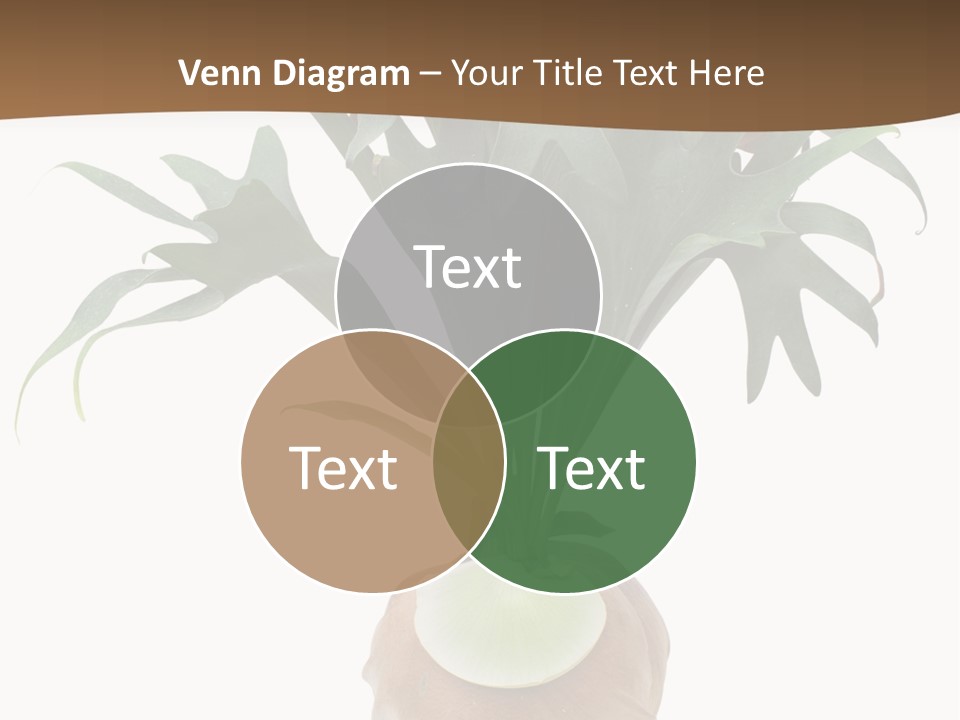Biology Jungle Cone PowerPoint Template