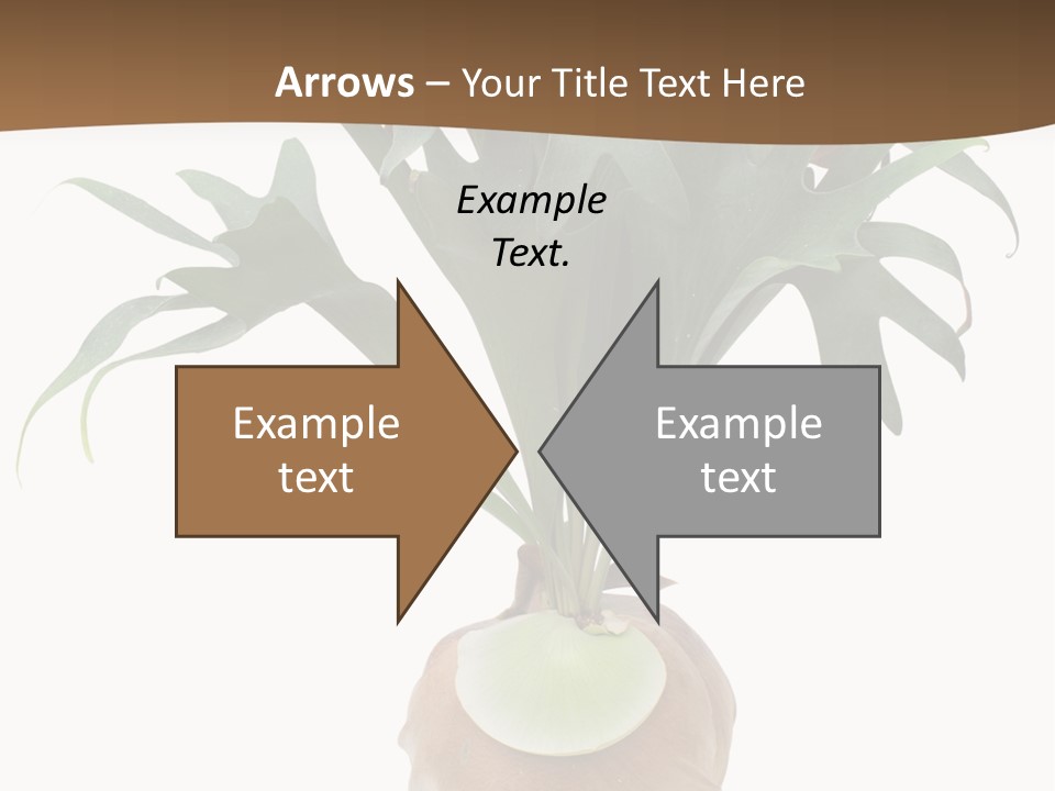Biology Jungle Cone PowerPoint Template