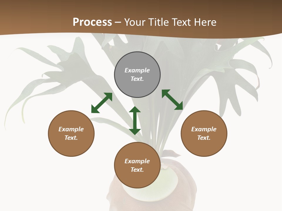 Biology Jungle Cone PowerPoint Template