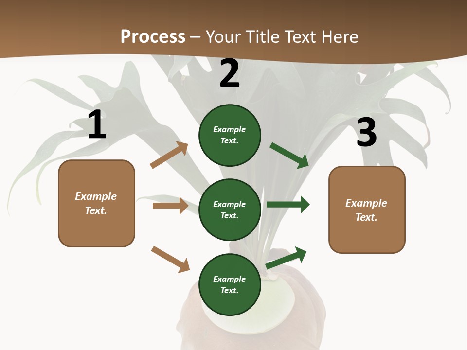 Biology Jungle Cone PowerPoint Template