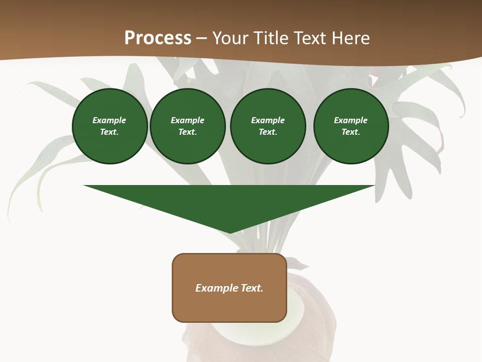 Biology Jungle Cone PowerPoint Template