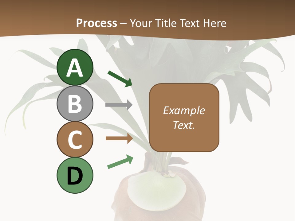 Biology Jungle Cone PowerPoint Template