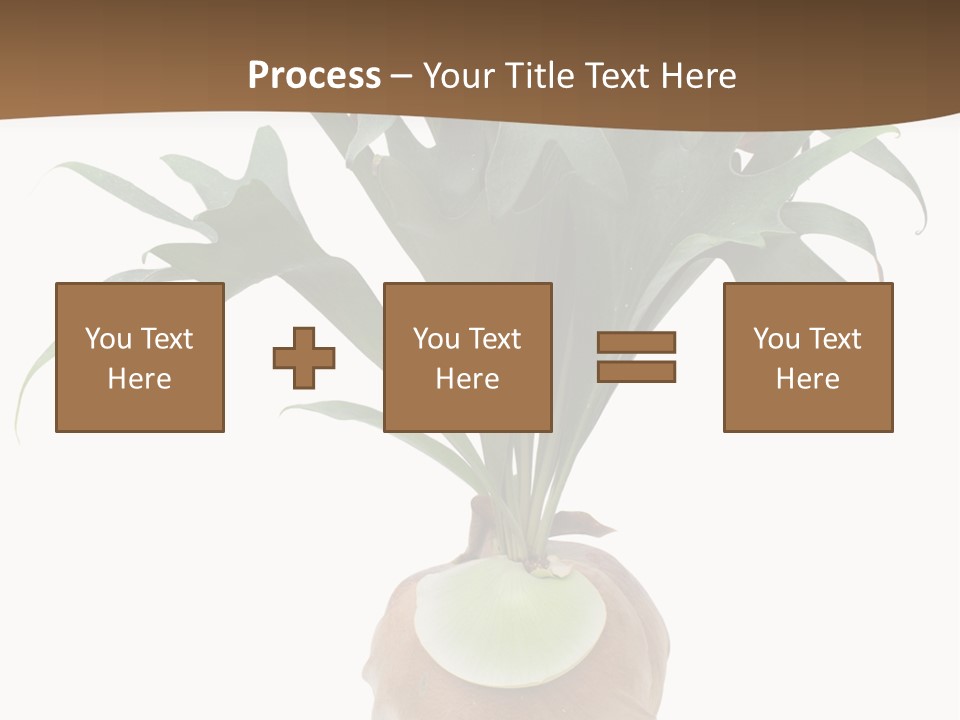 Biology Jungle Cone PowerPoint Template