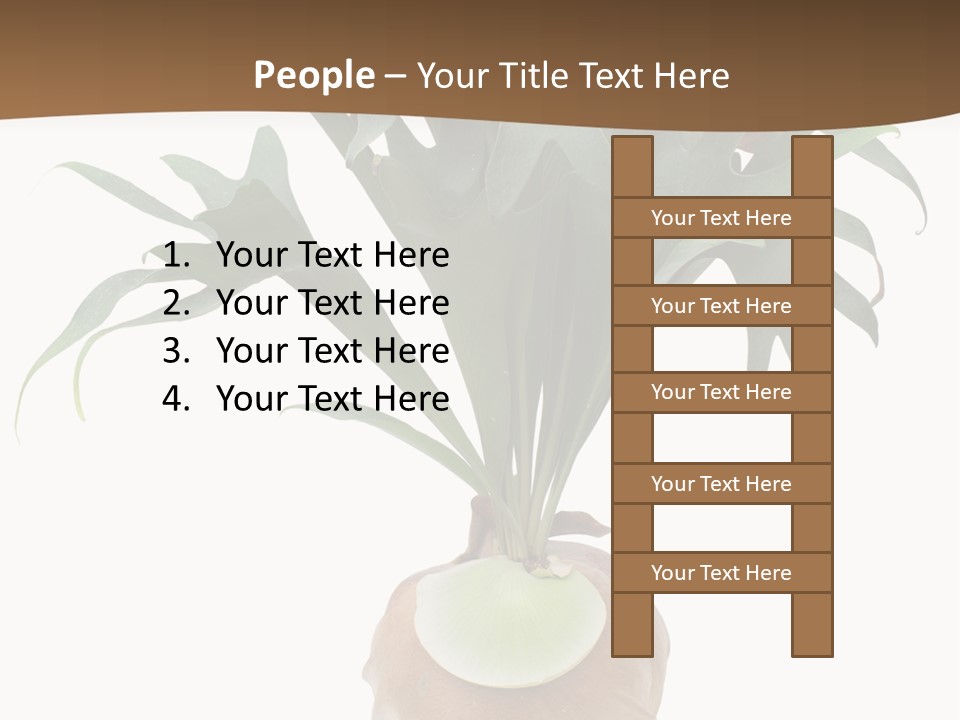 Biology Jungle Cone PowerPoint Template