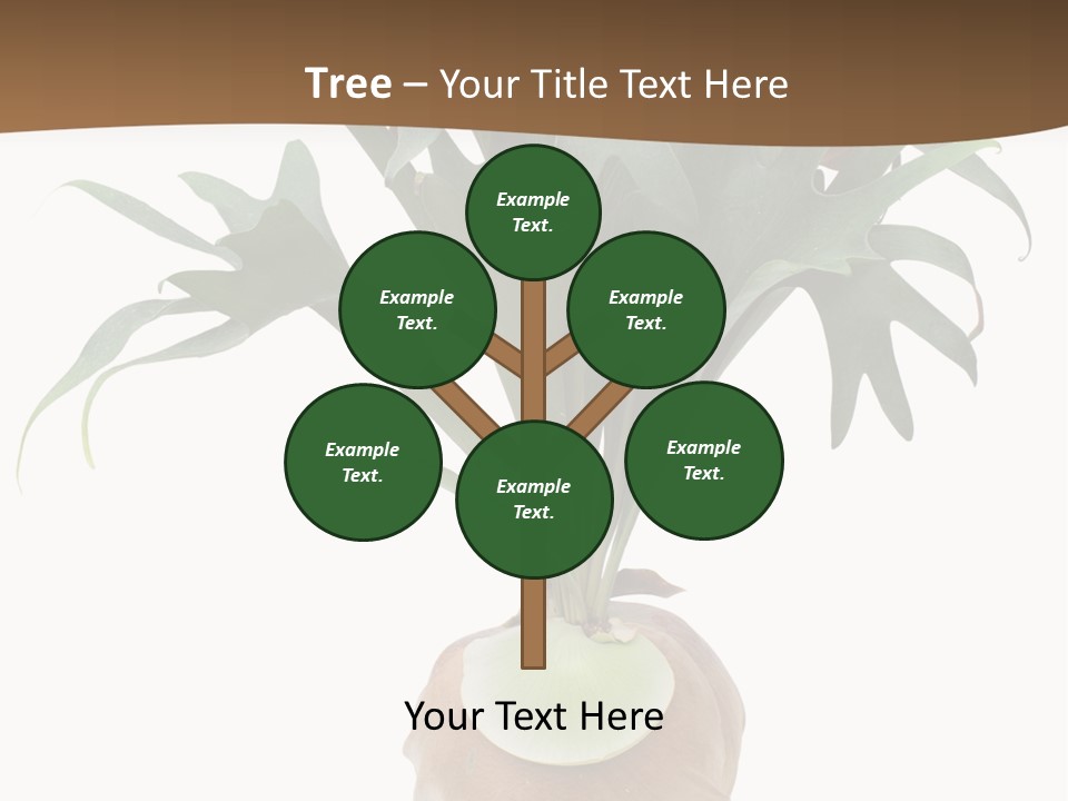 Biology Jungle Cone PowerPoint Template