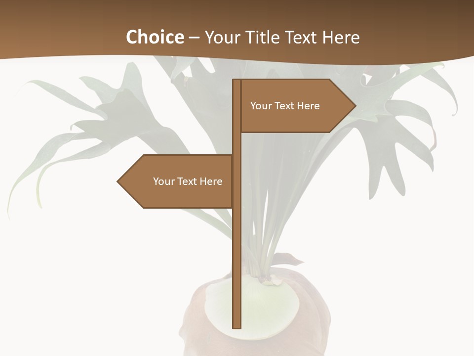 Biology Jungle Cone PowerPoint Template