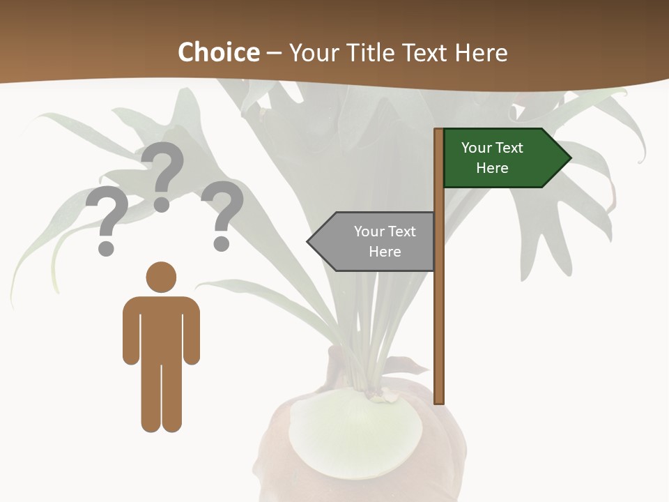 Biology Jungle Cone PowerPoint Template
