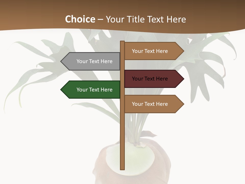Biology Jungle Cone PowerPoint Template