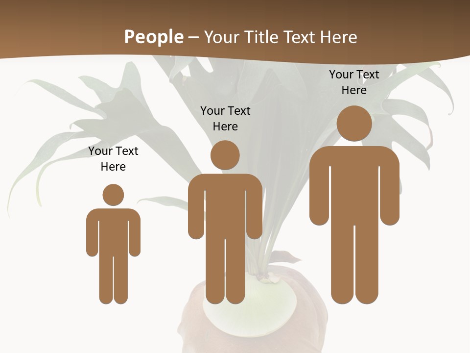 Biology Jungle Cone PowerPoint Template
