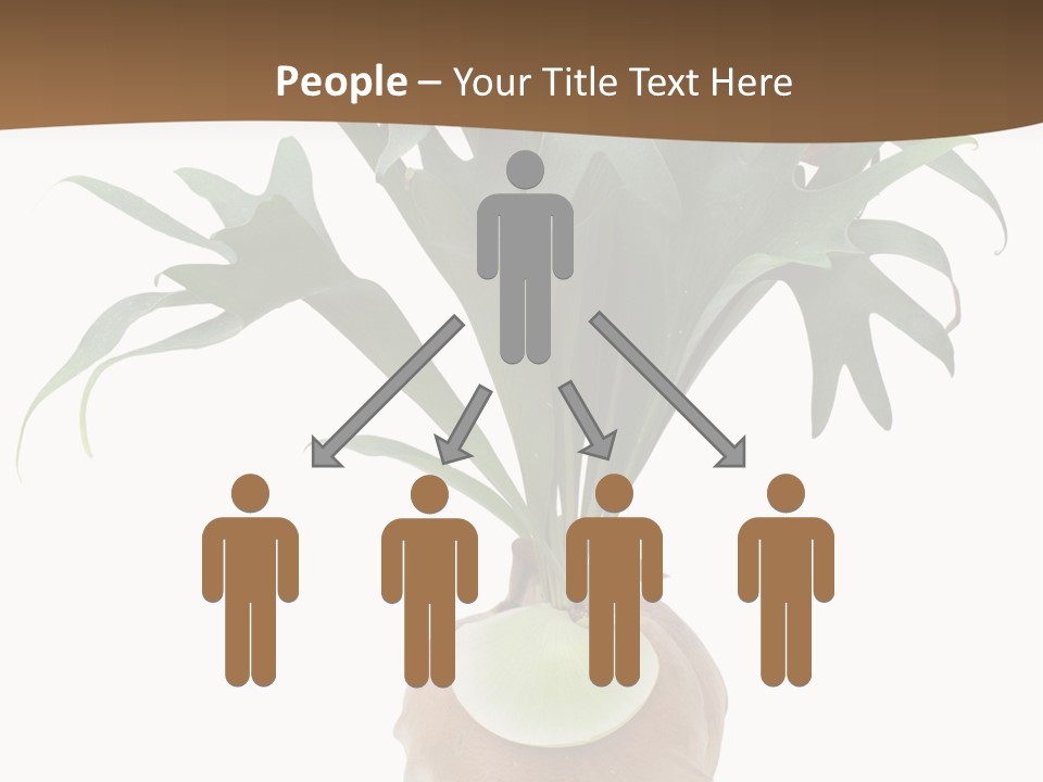 Biology Jungle Cone PowerPoint Template