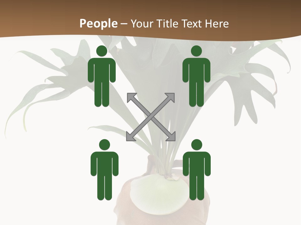 Biology Jungle Cone PowerPoint Template