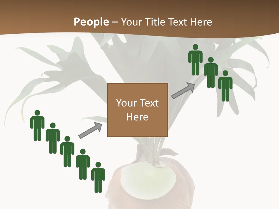 Biology Jungle Cone PowerPoint Template