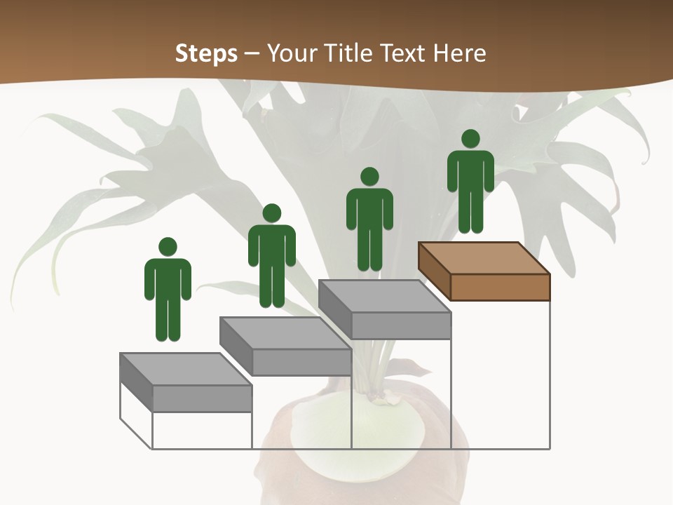 Biology Jungle Cone PowerPoint Template