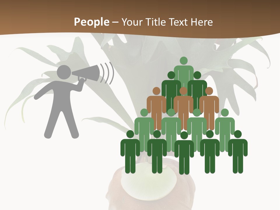 Biology Jungle Cone PowerPoint Template