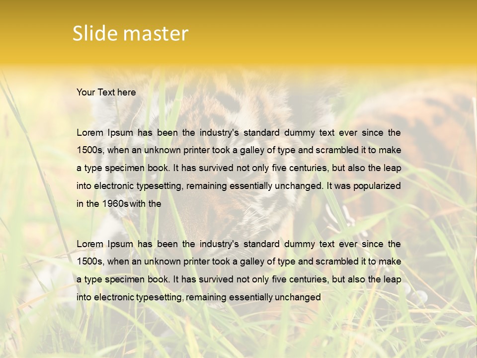 Angry Tigris Dangerous PowerPoint Template