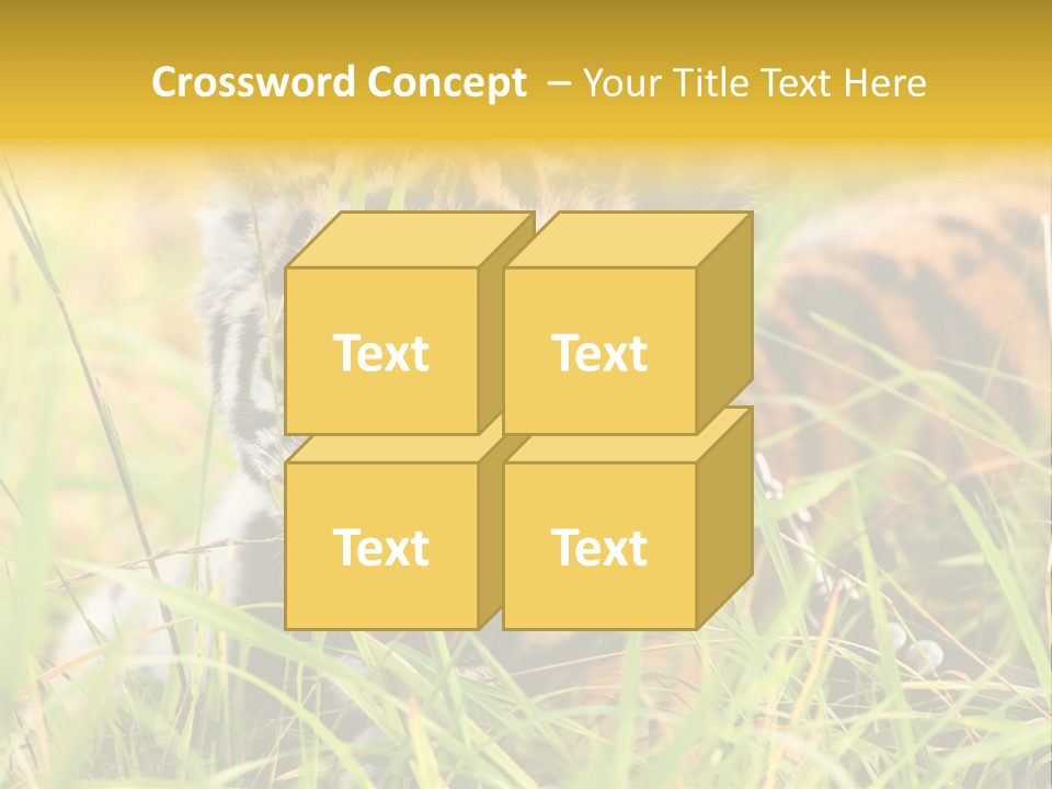 Angry Tigris Dangerous PowerPoint Template
