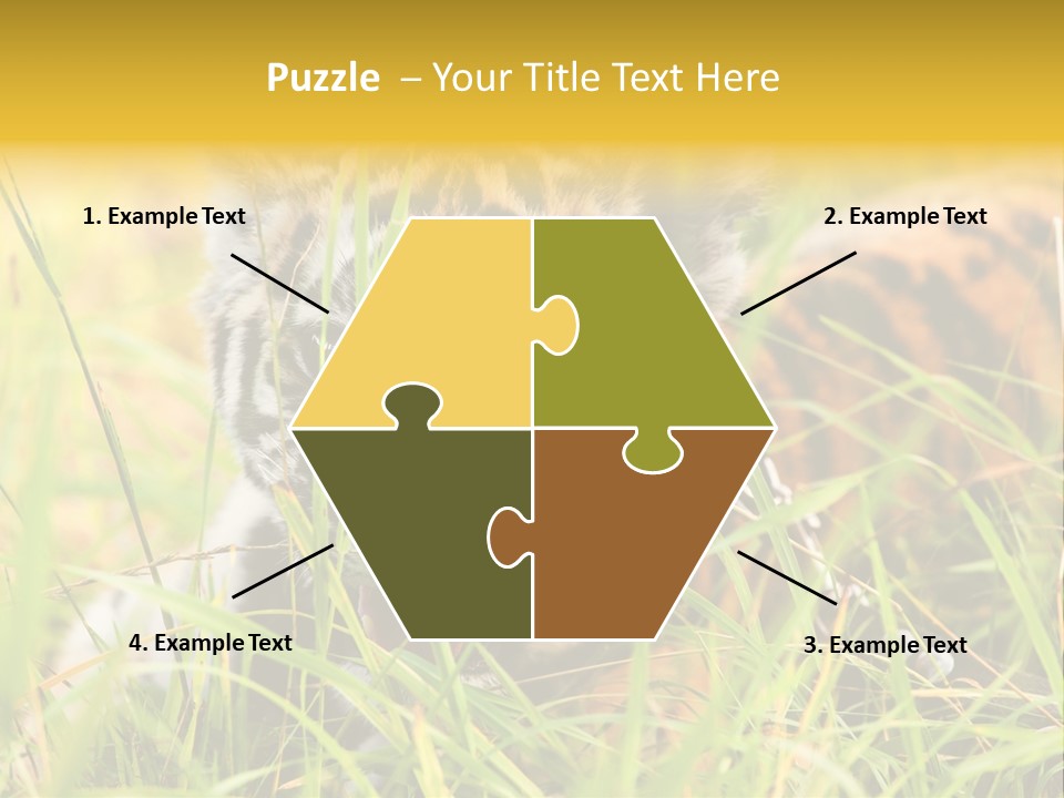 Angry Tigris Dangerous PowerPoint Template