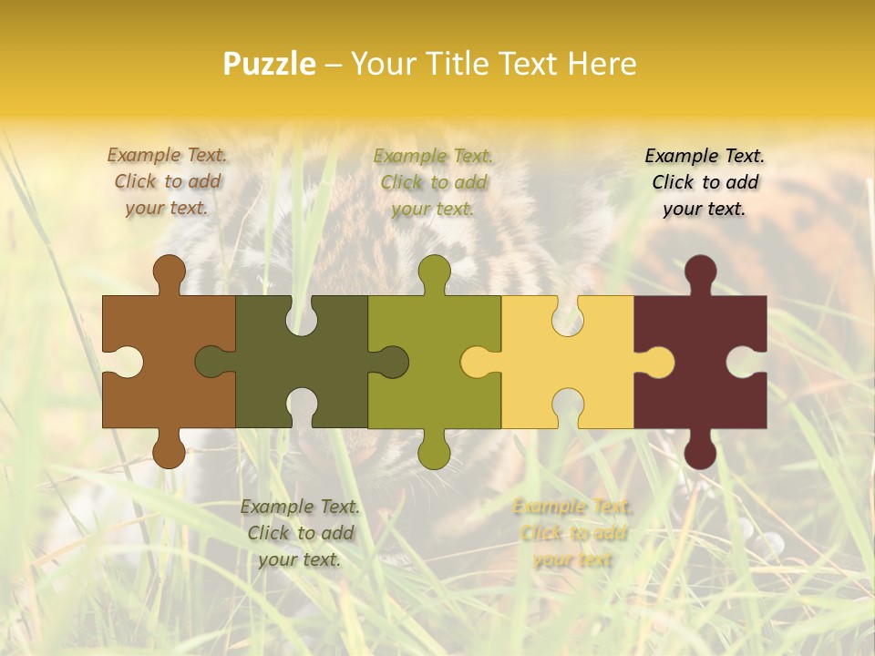 Angry Tigris Dangerous PowerPoint Template