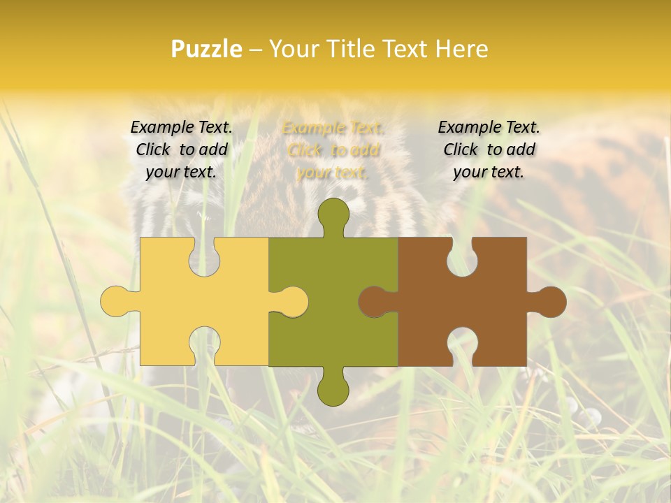 Angry Tigris Dangerous PowerPoint Template