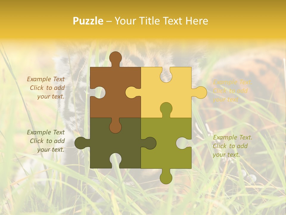 Angry Tigris Dangerous PowerPoint Template