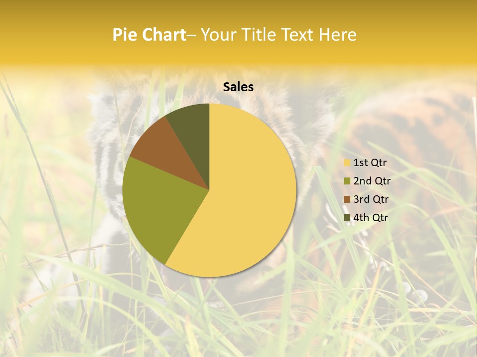 Angry Tigris Dangerous PowerPoint Template