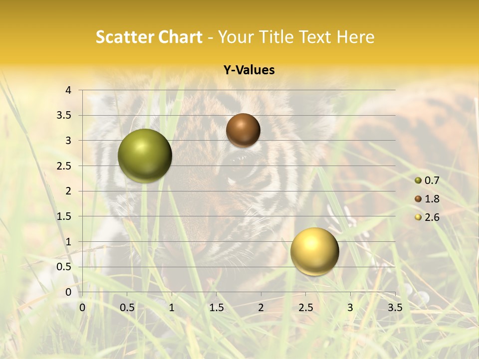 Angry Tigris Dangerous PowerPoint Template