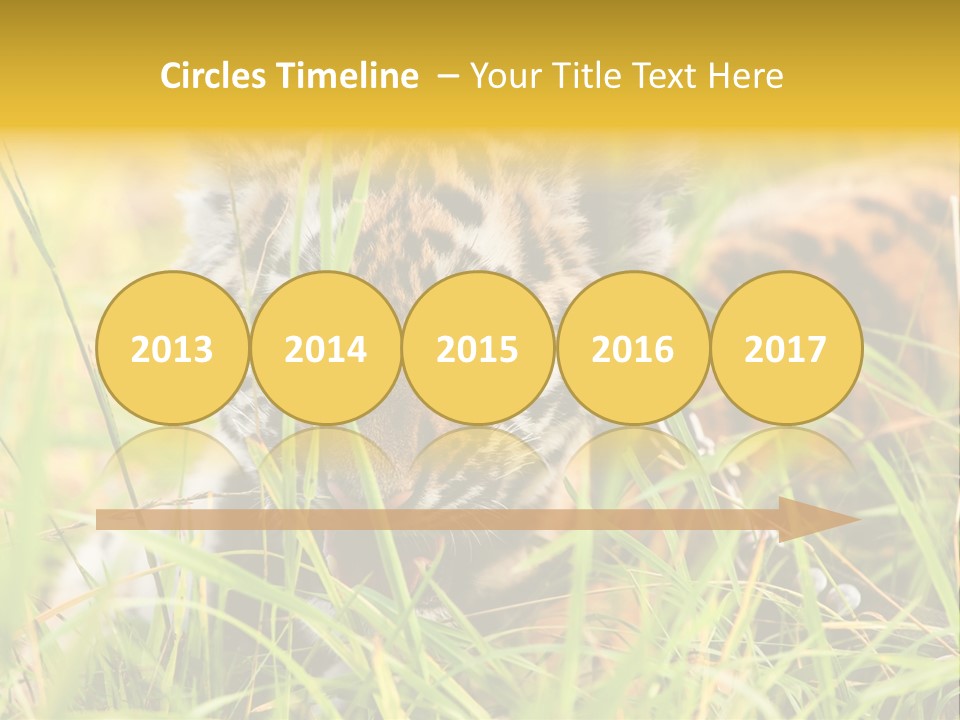 Angry Tigris Dangerous PowerPoint Template