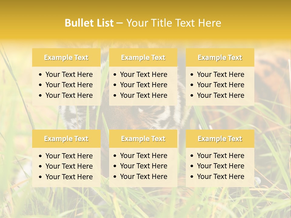 Angry Tigris Dangerous PowerPoint Template