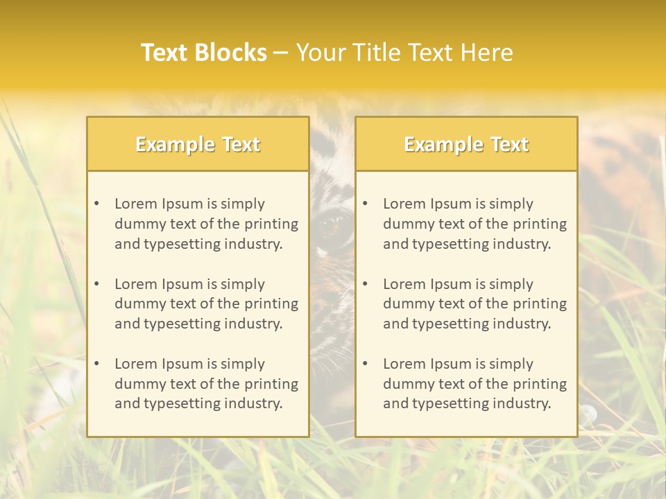 Angry Tigris Dangerous PowerPoint Template