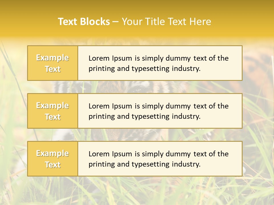 Angry Tigris Dangerous PowerPoint Template