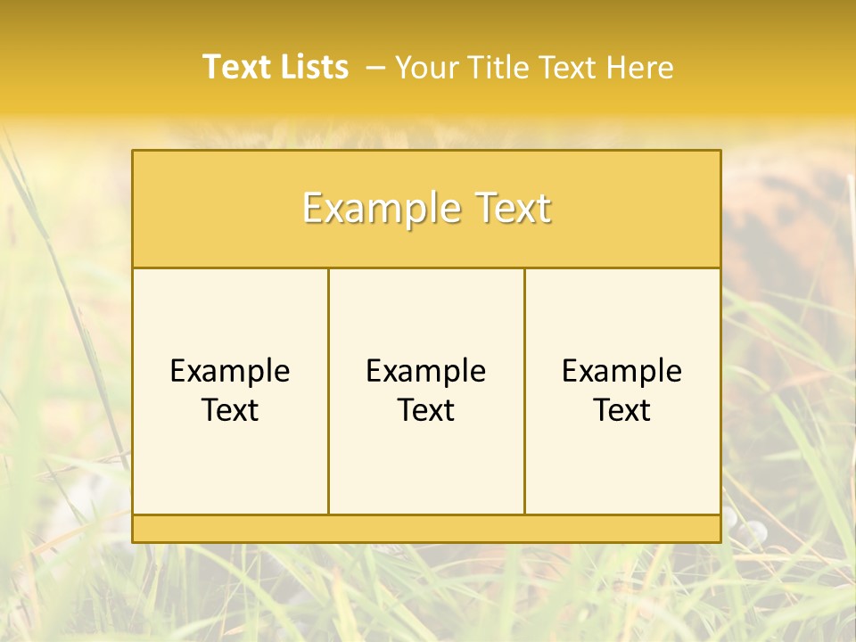 Angry Tigris Dangerous PowerPoint Template